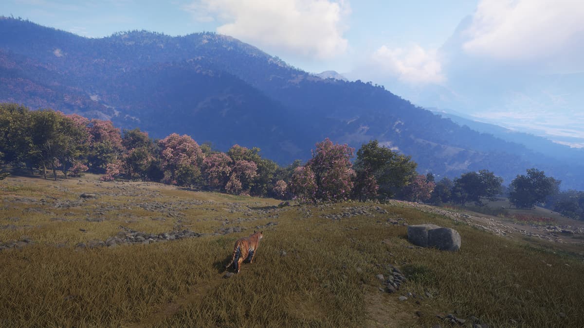 Picture of theHunter: Call of the Wild™ - Sundarpatan Nepal Hunting Reserve