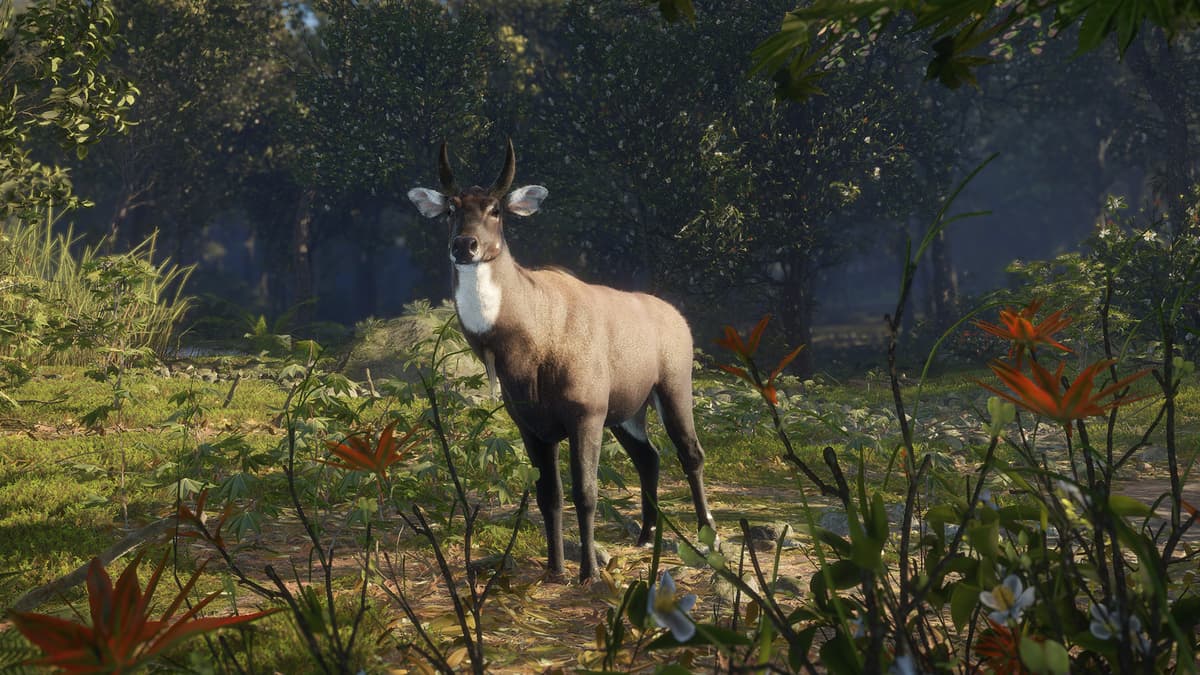 Picture of theHunter: Call of the Wild™ - Sundarpatan Nepal Hunting Reserve