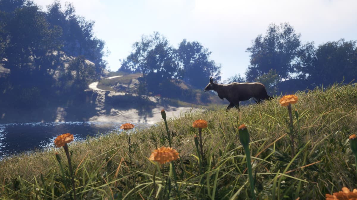 Picture of theHunter: Call of the Wild™ - Sundarpatan Nepal Hunting Reserve