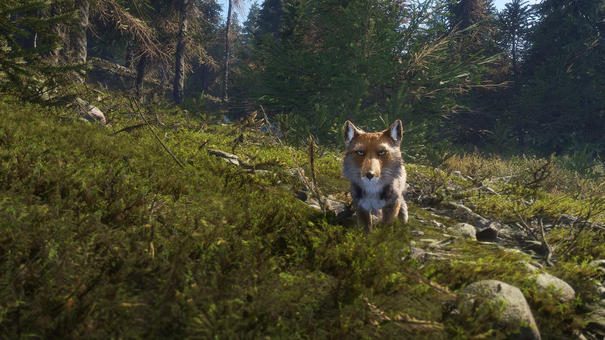 Picture of theHunter: Call of the Wild™ - Sundarpatan Nepal Hunting Reserve