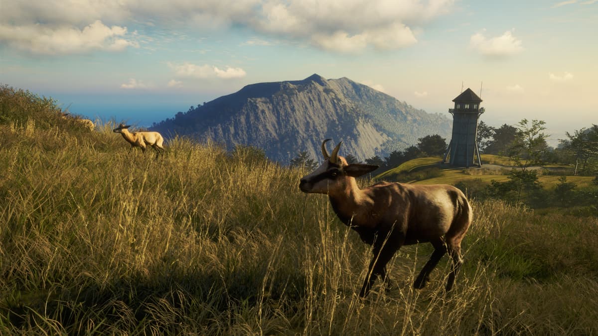 Picture of theHunter: Call of the Wild™ - Te Awaroa National Park