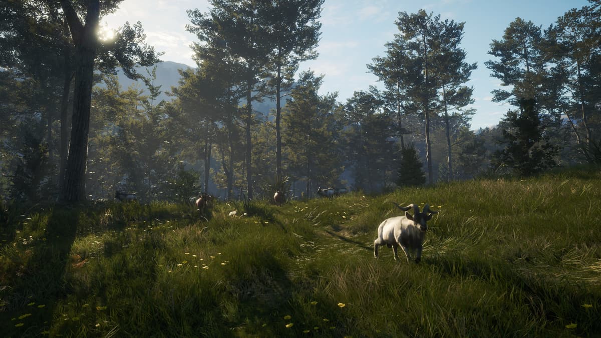 Picture of theHunter: Call of the Wild™ - Te Awaroa National Park