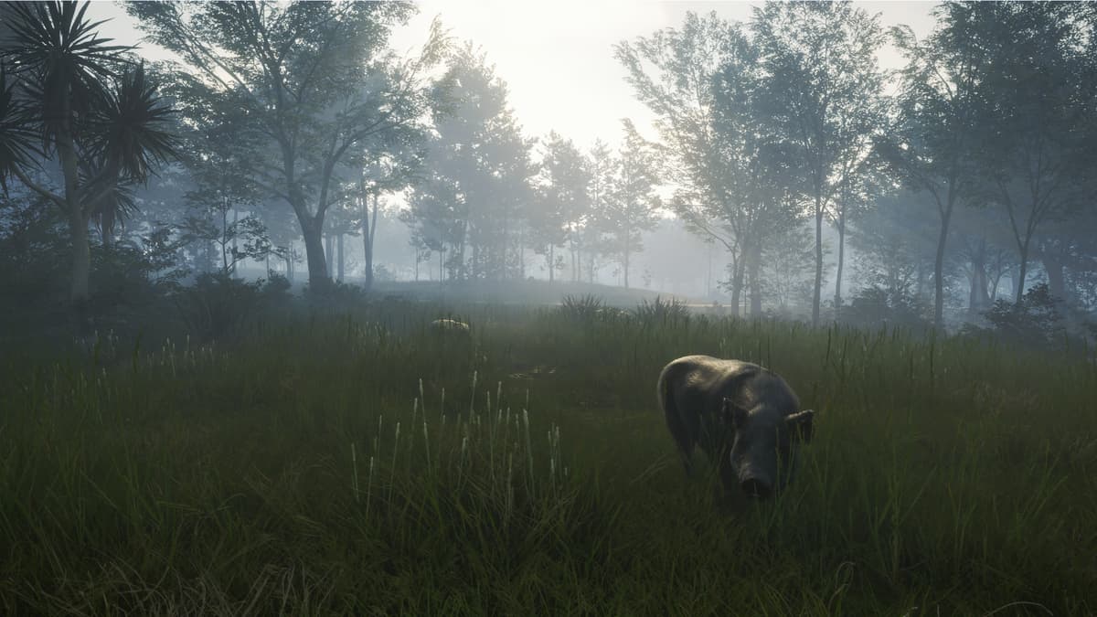 Picture of theHunter: Call of the Wild™ - Te Awaroa National Park