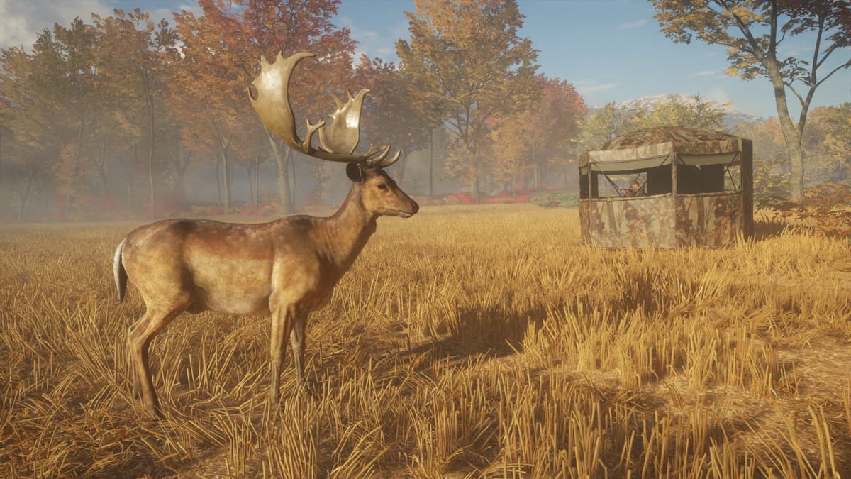 Picture of theHunter: Call of the Wild™ - Tents & Ground Blinds