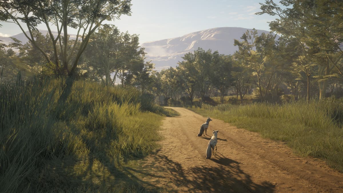 Picture of theHunter: Call of the Wild™ - Vurhonga Savanna