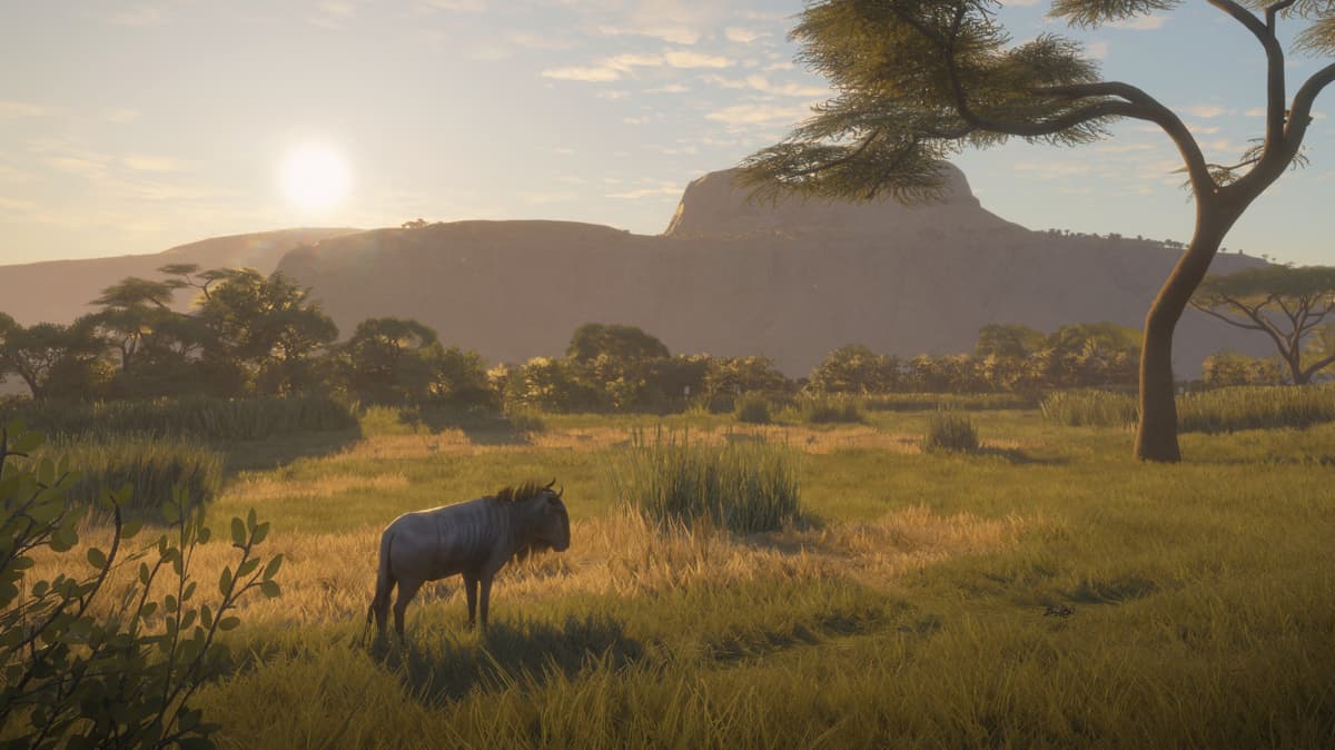 Picture of theHunter: Call of the Wild™ - Vurhonga Savanna