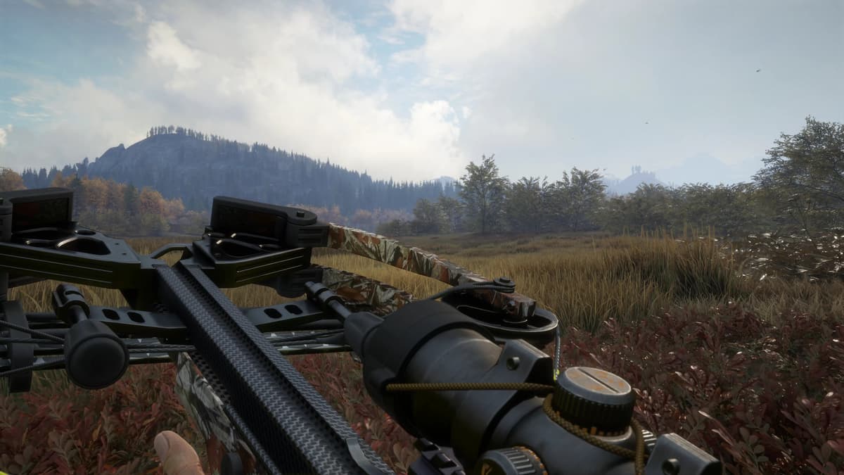 Picture of theHunter: Call of the Wild™ - Weapon Pack 1