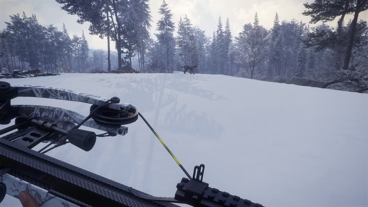 Picture of theHunter: Call of the Wild™ - Weapon Pack 1