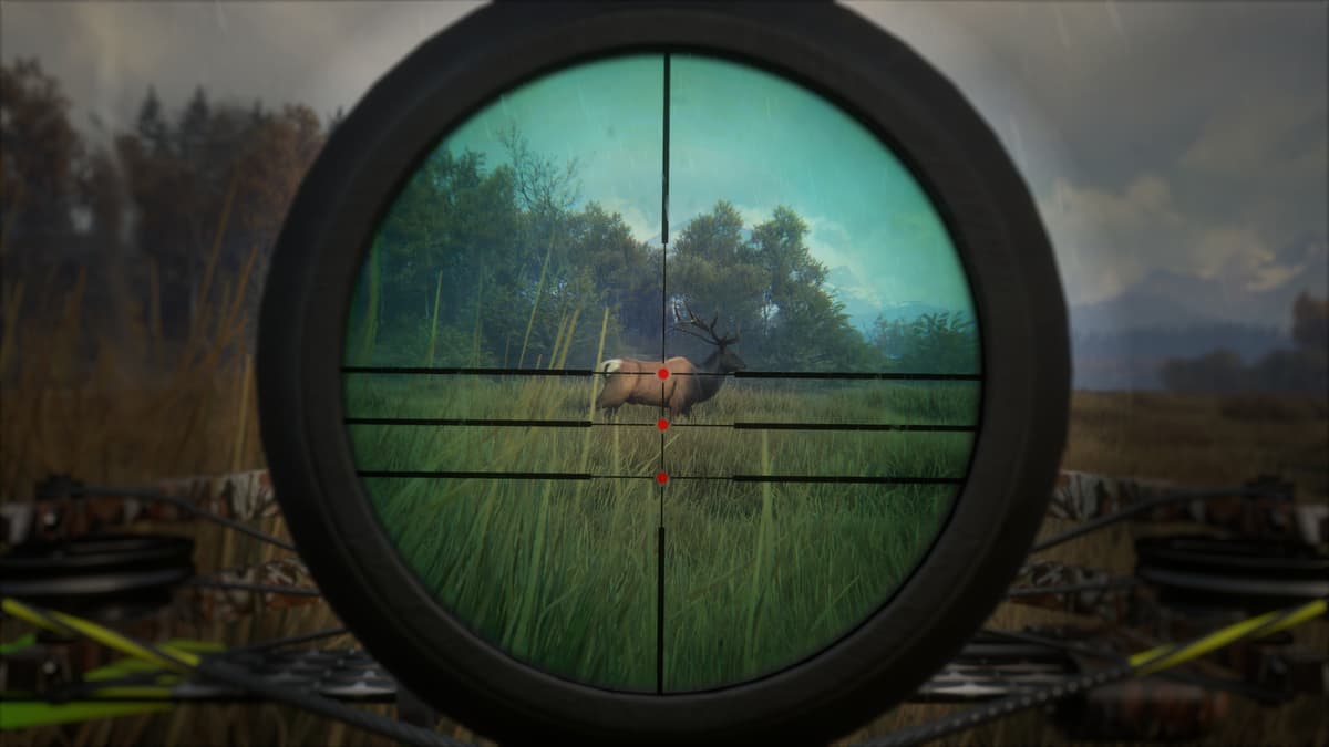 Picture of theHunter: Call of the Wild™ - Weapon Pack 1
