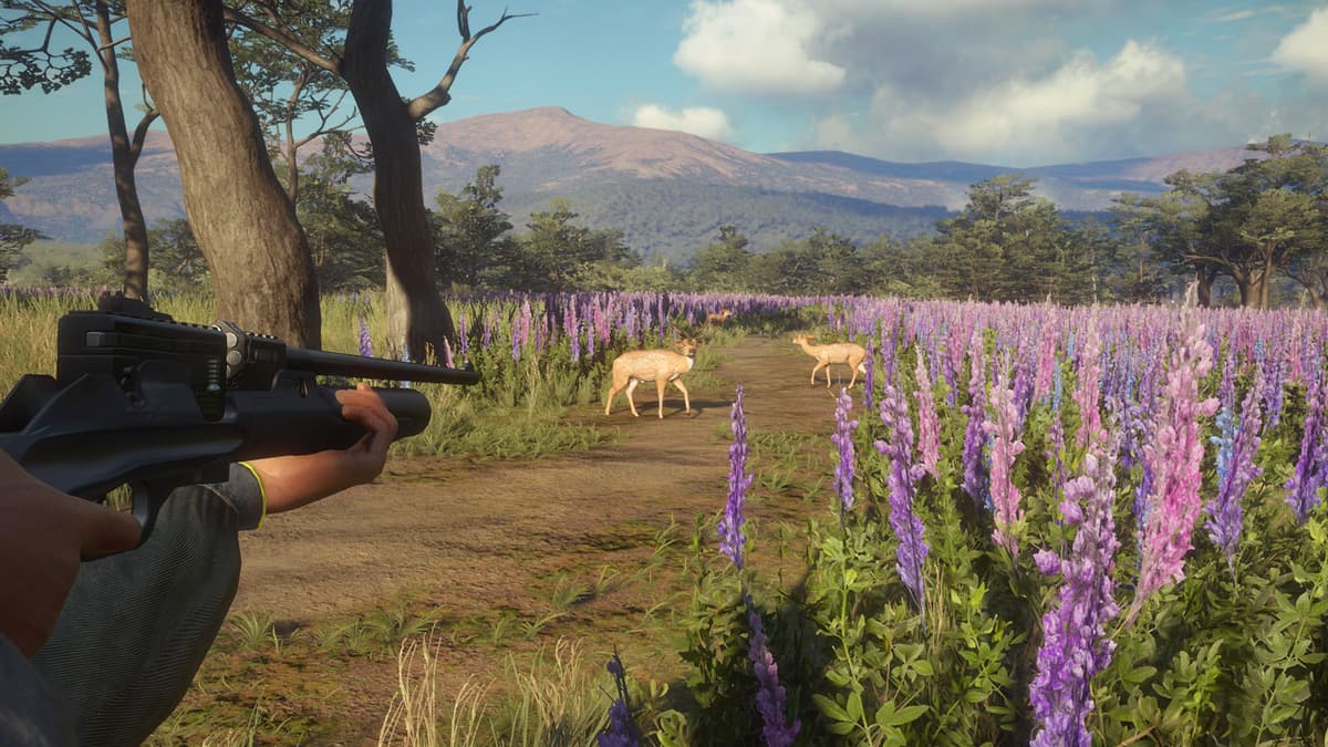 Picture of theHunter: Call of the Wild™ - Weapon Pack 3