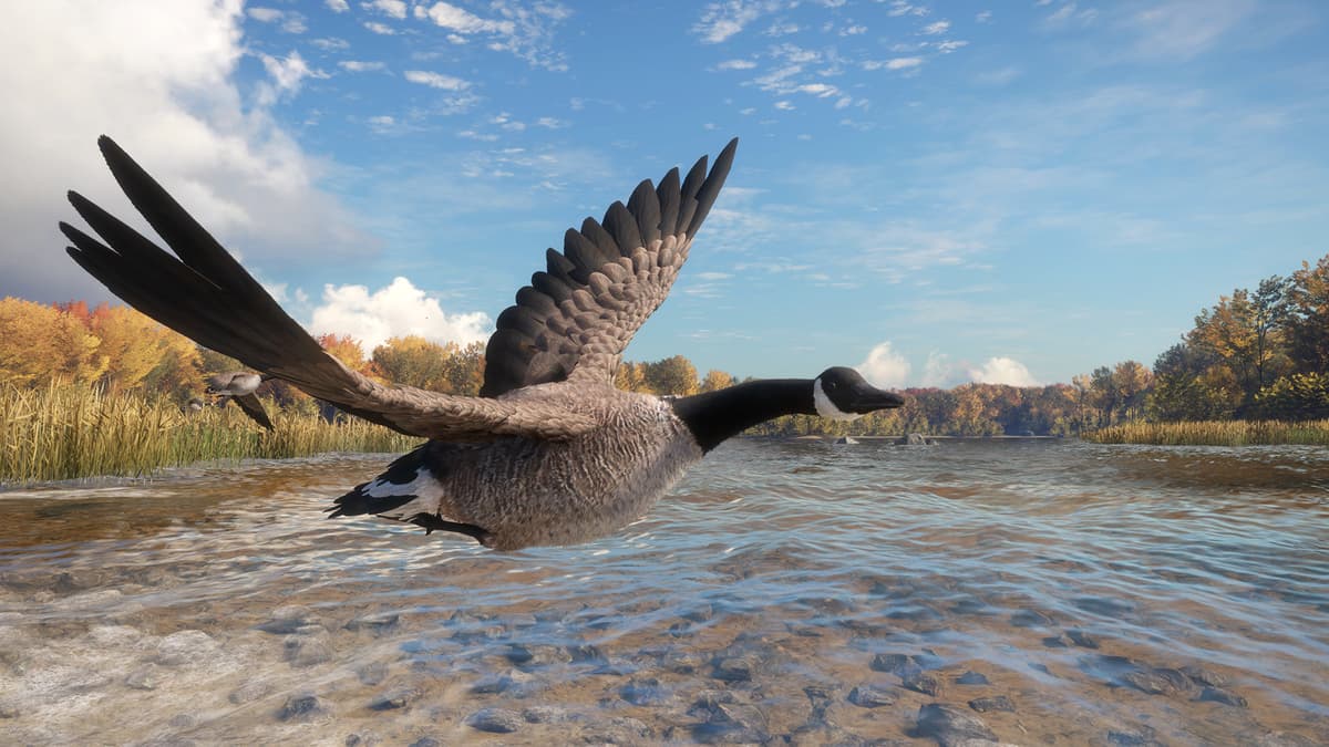 Picture of theHunter: Call of the Wild™ - Wild Goose Chase Gear