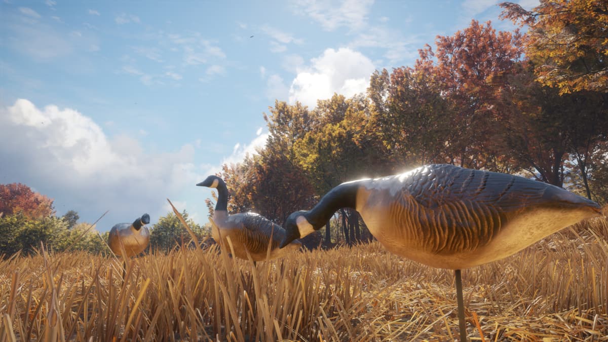 Picture of theHunter: Call of the Wild™ - Wild Goose Chase Gear