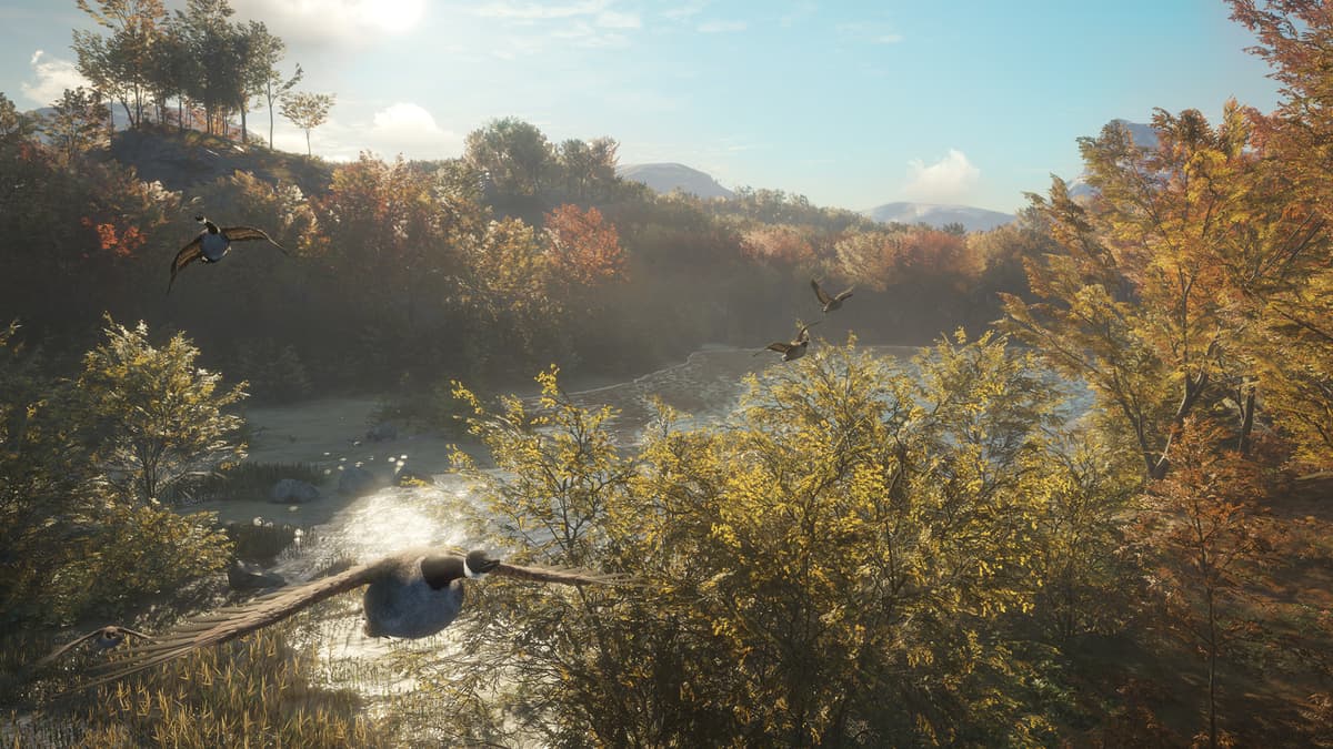 Picture of theHunter: Call of the Wild™ - Wild Goose Chase Gear
