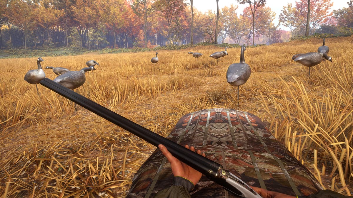 Picture of theHunter: Call of the Wild™ - Wild Goose Chase Gear