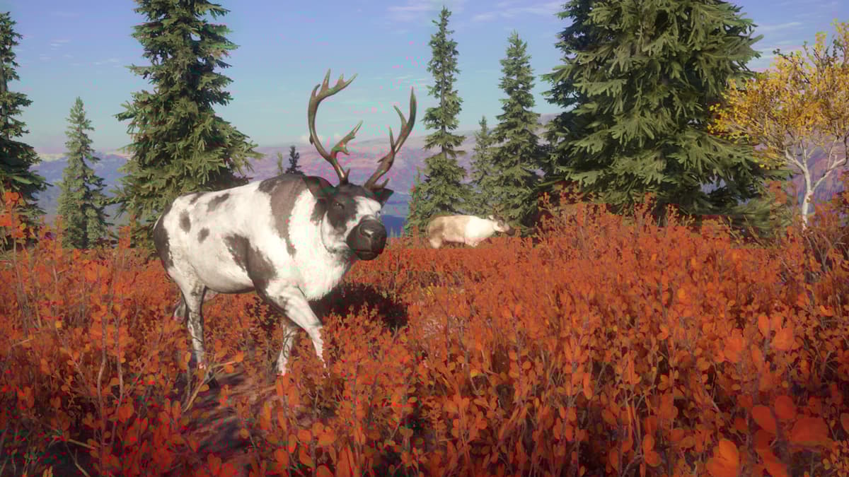 Picture of theHunter: Call of the Wild™ - Yukon Valley