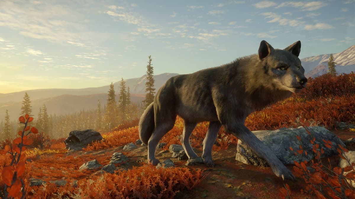 Picture of theHunter: Call of the Wild™ - Yukon Valley