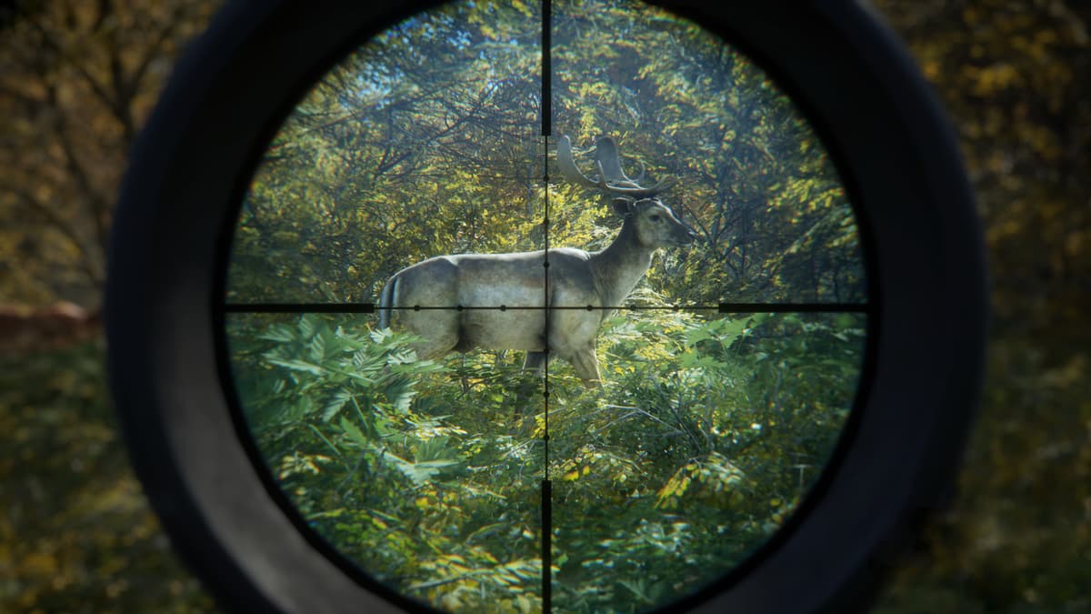 Picture of theHunter: Call of the Wild™