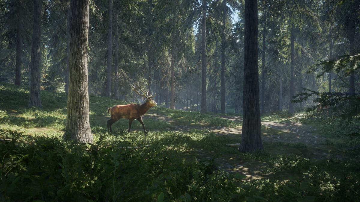 Picture of theHunter: Call of the Wild™
