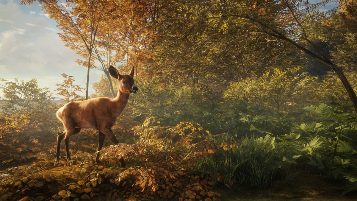 Picture of theHunter: Call of the Wild™