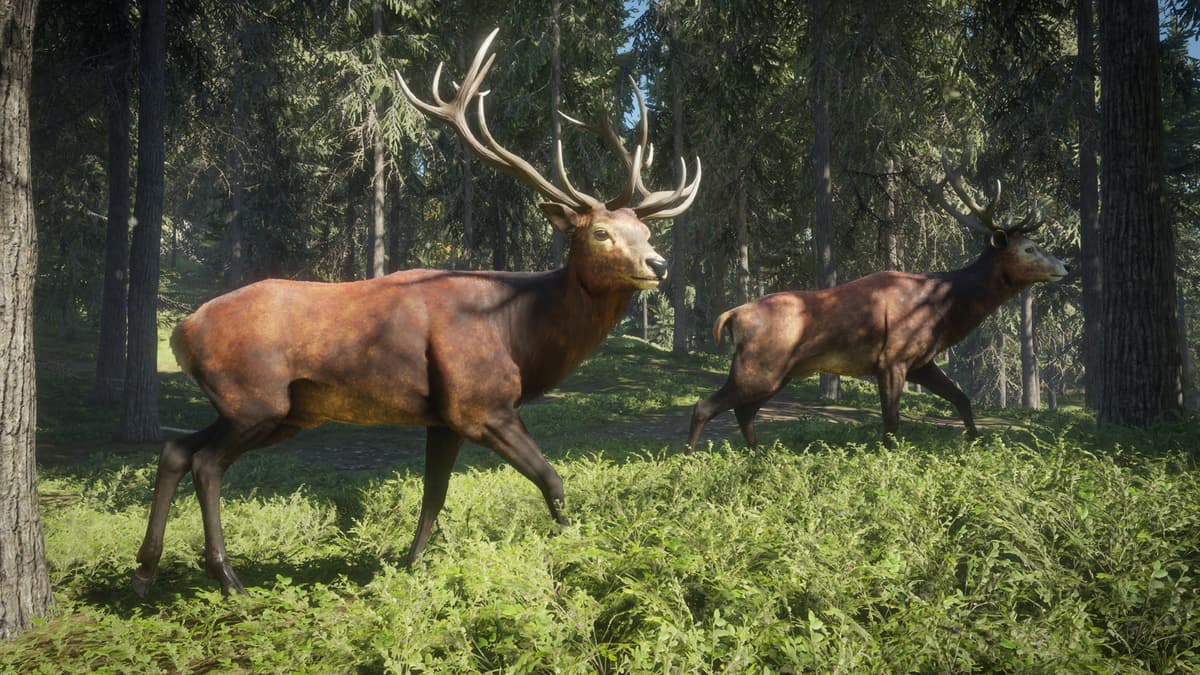 Picture of theHunter: Call of the Wild™