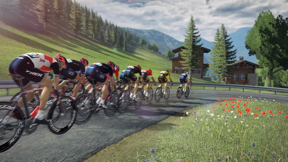 Picture of Tour de France 2021