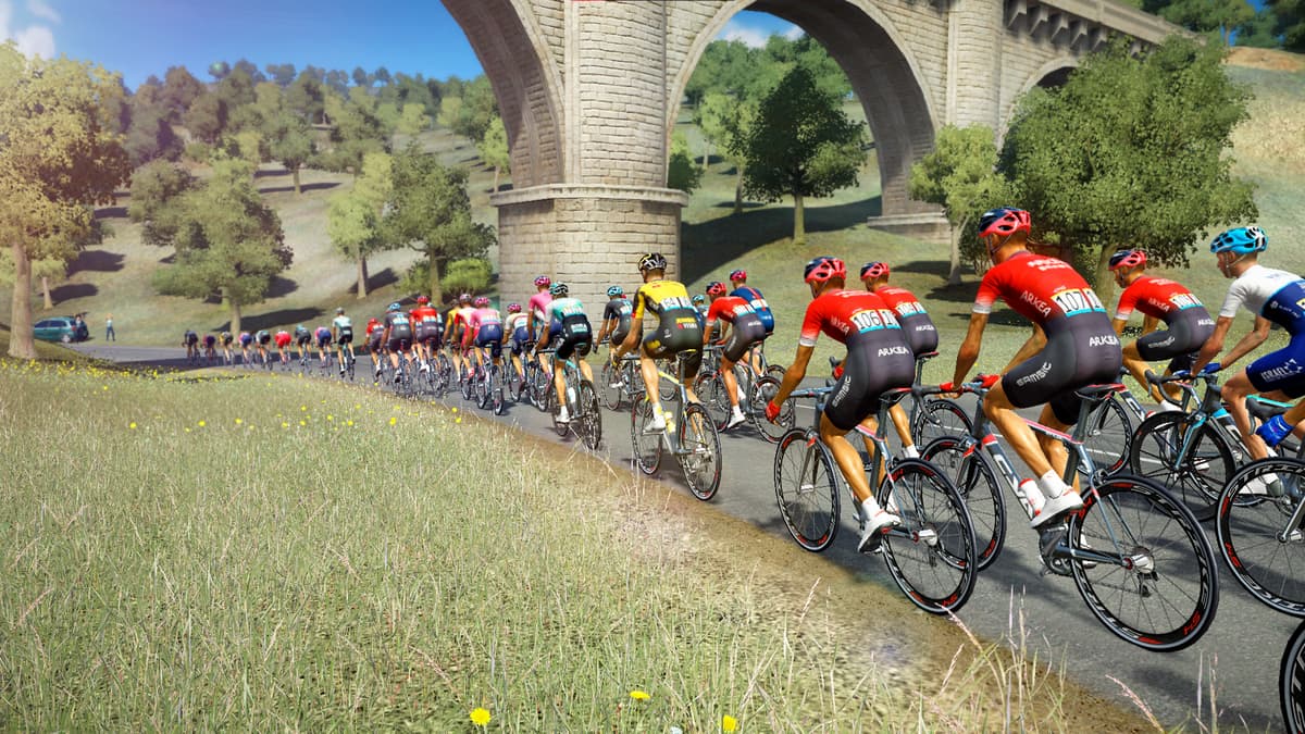 Picture of Tour de France 2021