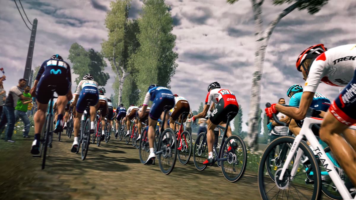 Picture of Tour de France 2022