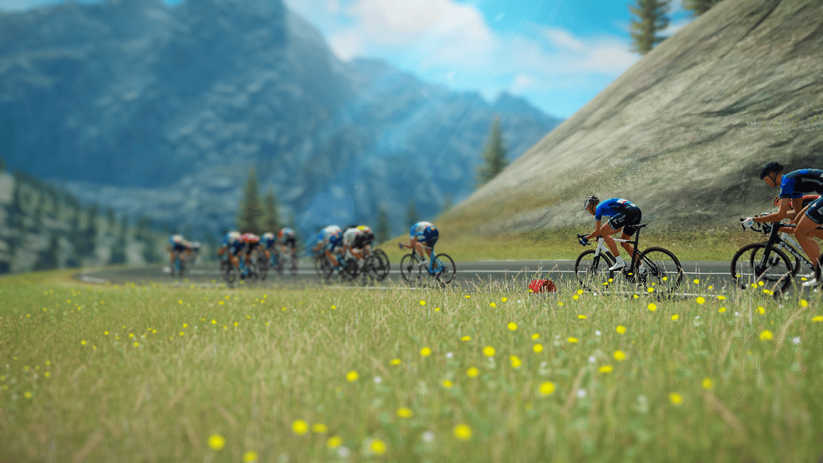 Picture of Tour de France 2024