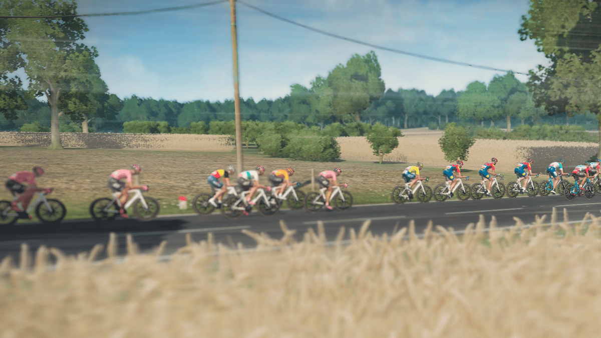 Picture of Tour de France 2024