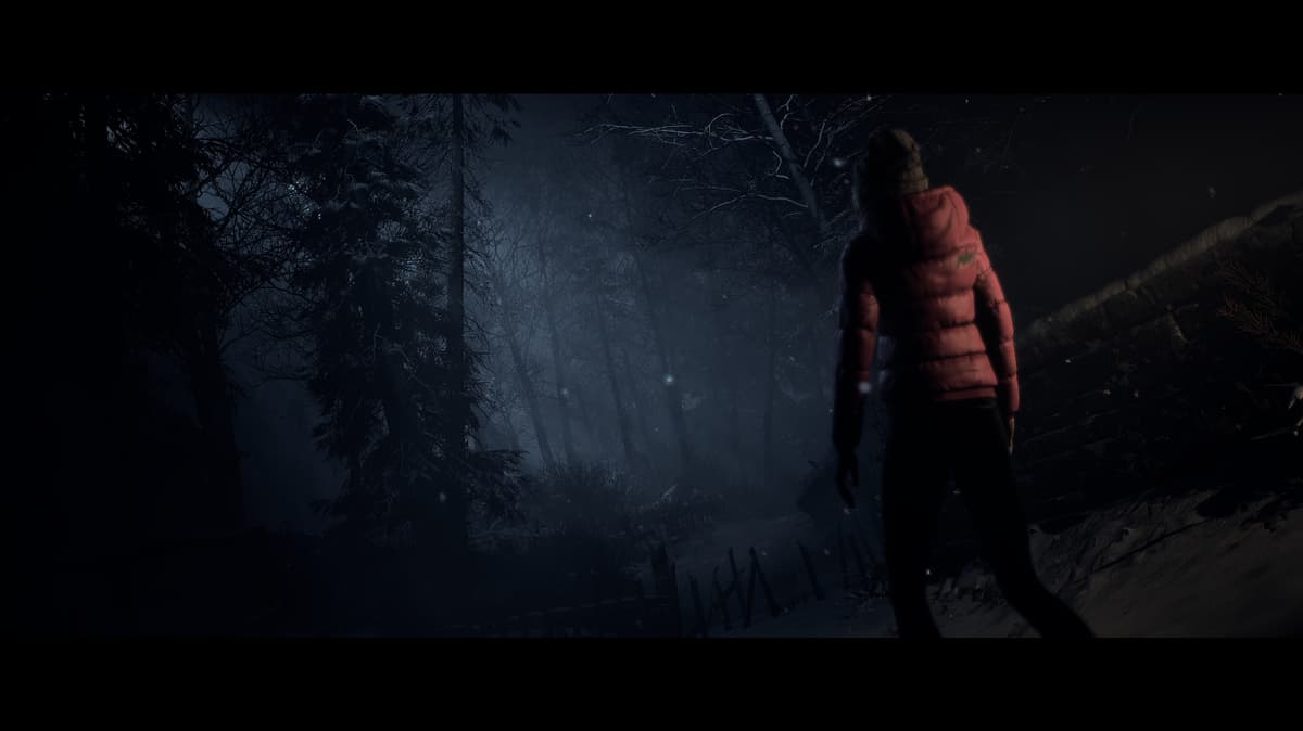Picture of Until Dawn