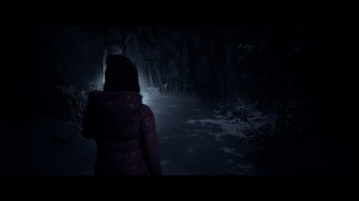 Picture of Until Dawn