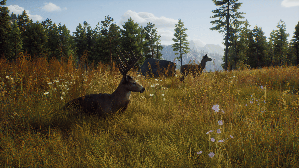 Picture of Way of the Hunter: Elite Edition