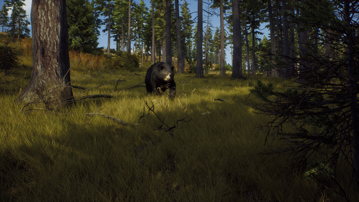 Picture of Way of the Hunter