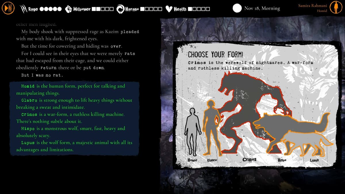 Picture of Werewolf: The Apocalypse — Purgatory