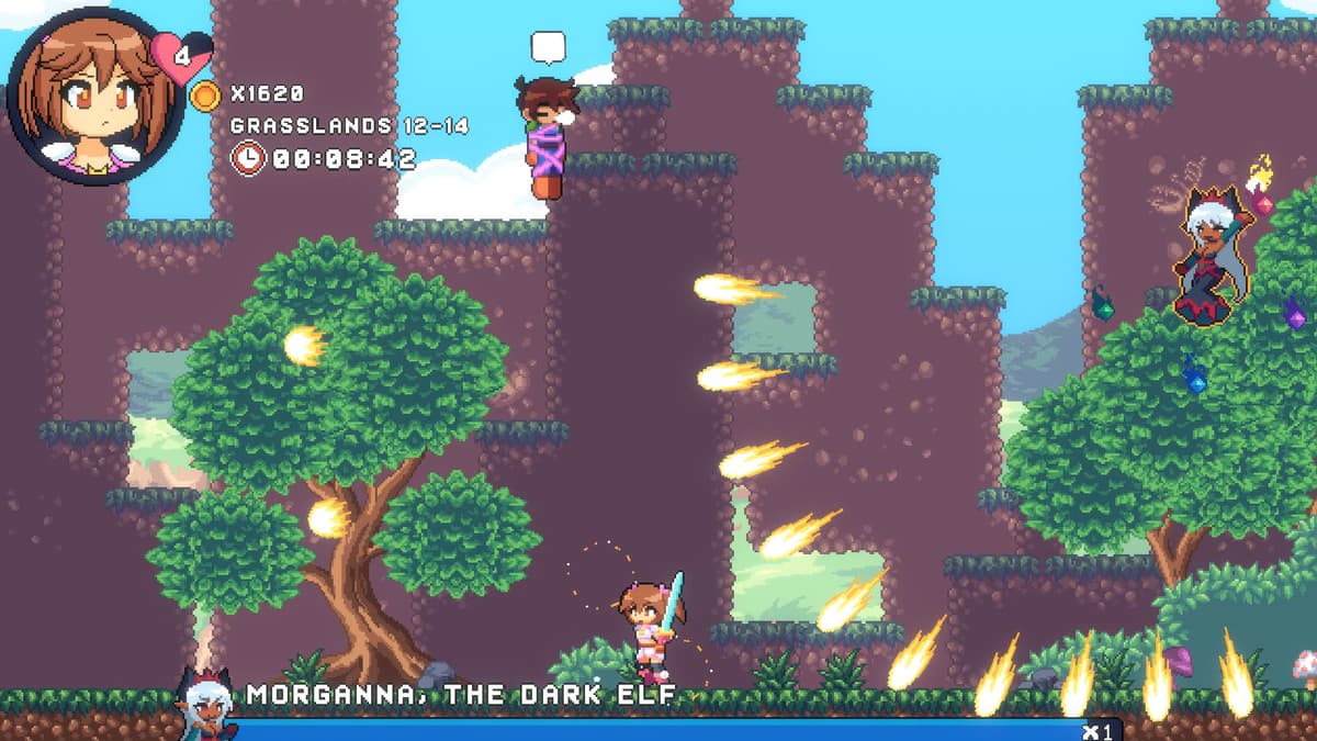 Picture of Wife Quest