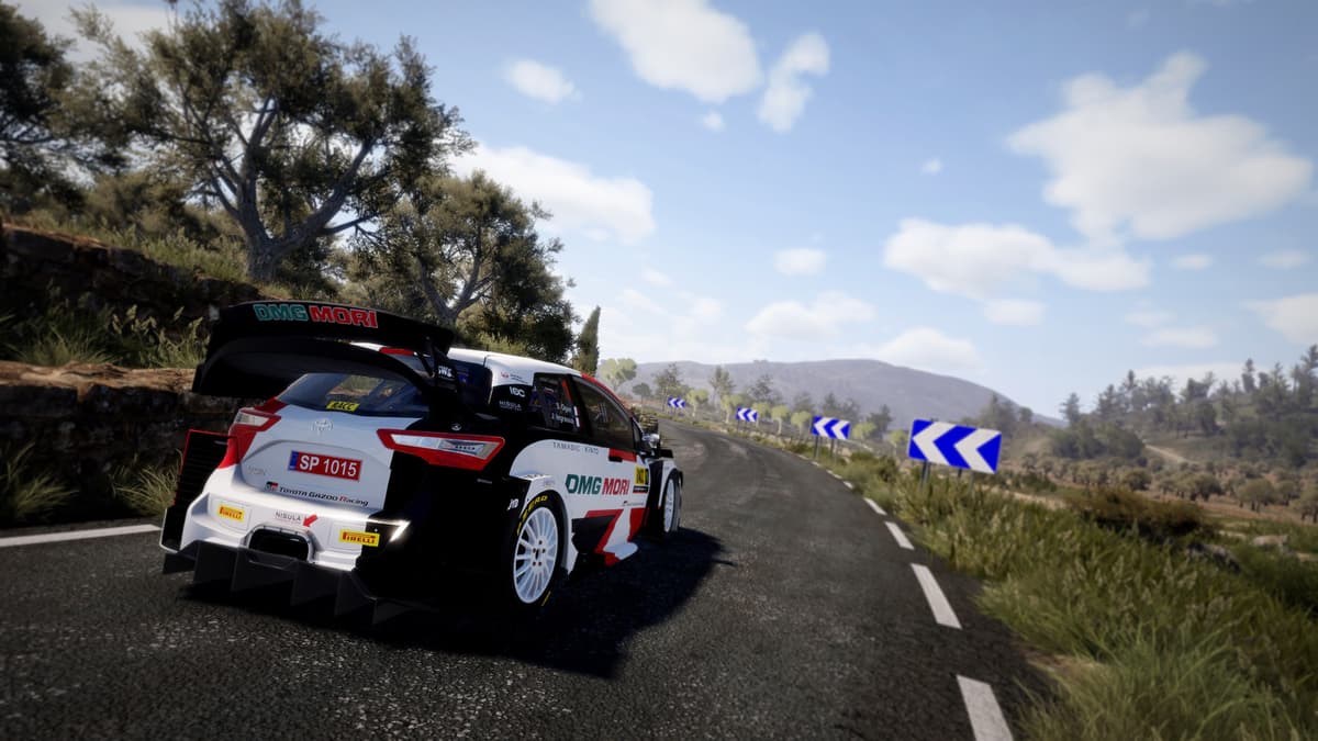 Picture of WRC 10 FIA World Rally Championship Deluxe Edition 