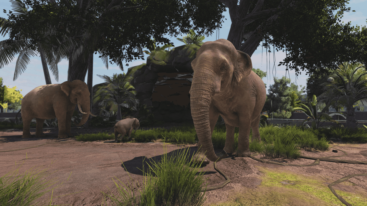 Picture of Zoo Tycoon: Ultimate Animal Collection