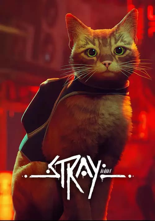 Picture of Stray
