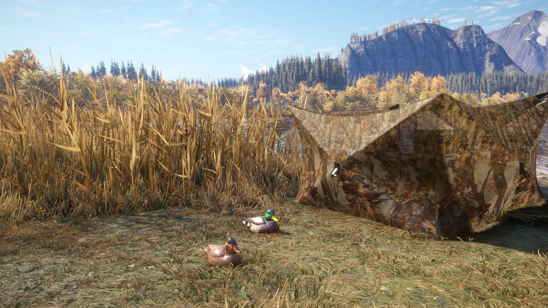 theHunter: Call of the Wild™ - Duck and Cover Pack | WW (491ba787-fe33-47ce-a95a-3e4252b68b26)